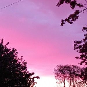 Meet your Posher, Karla